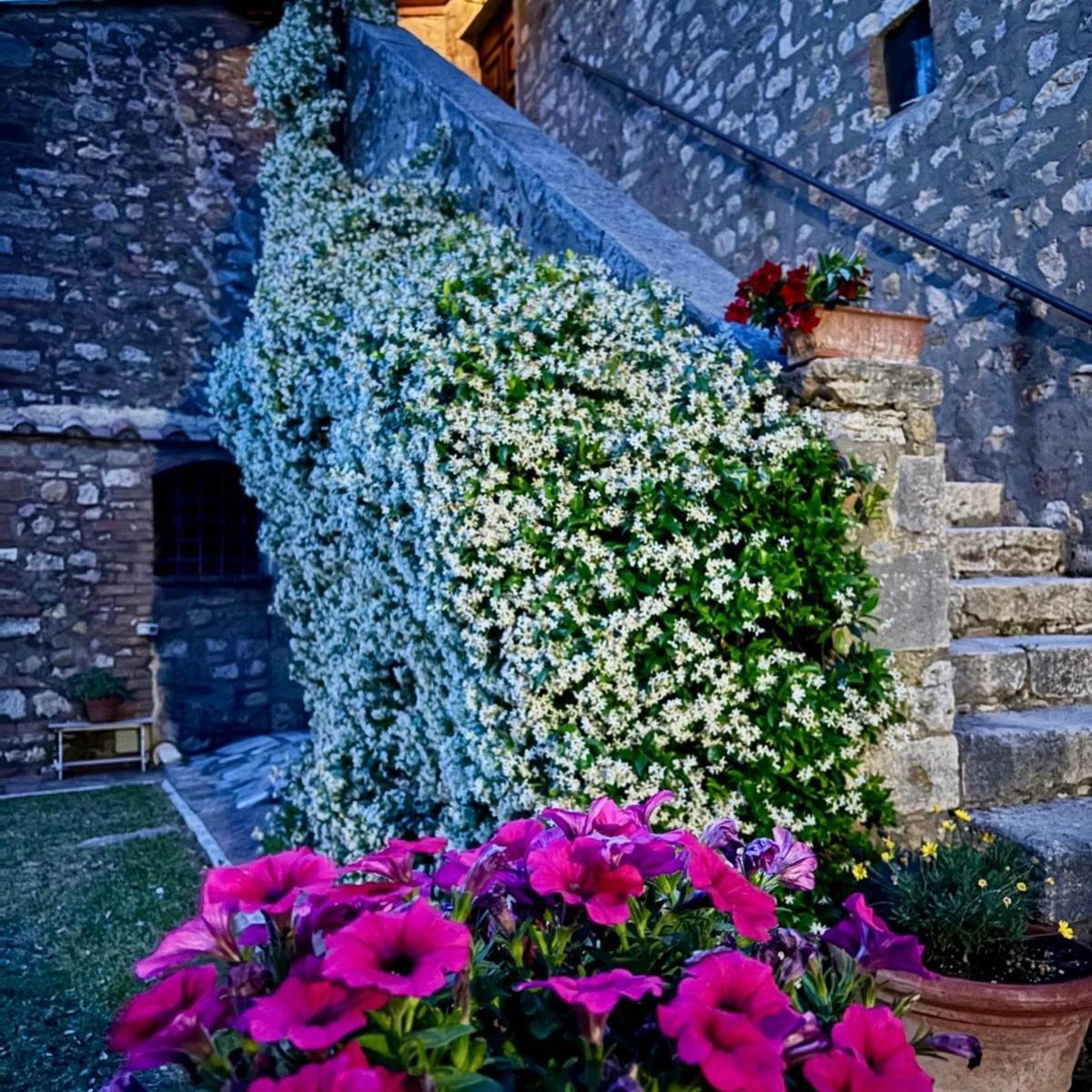 Residenza Santa Maria In Borraccia Bed & Breakfast Magliano in Toscana Bagian luar foto
