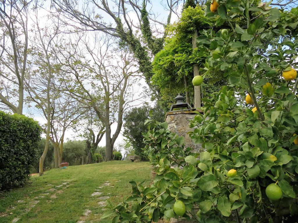 Residenza Santa Maria In Borraccia Bed & Breakfast Magliano in Toscana Bagian luar foto