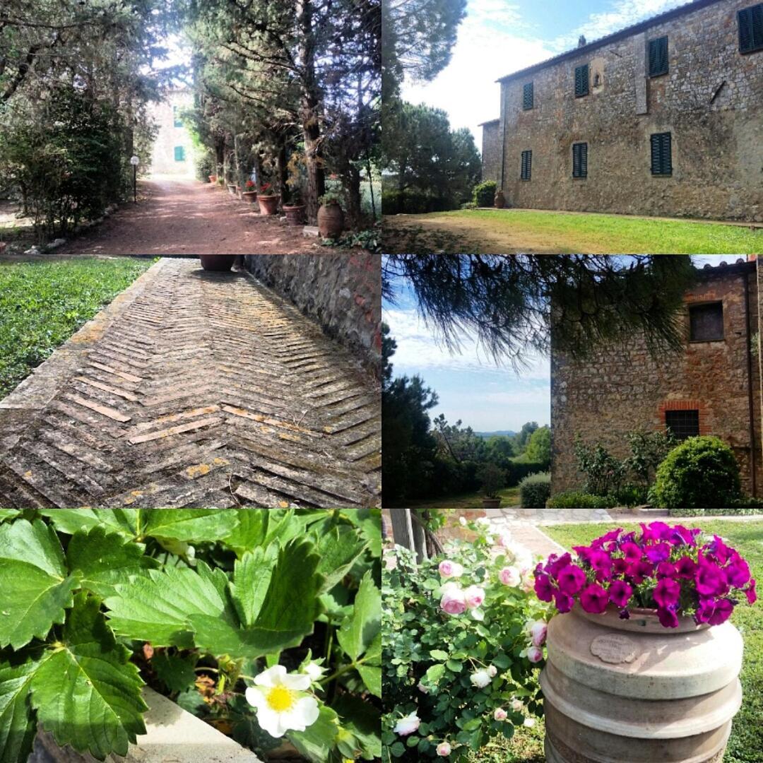 Residenza Santa Maria In Borraccia Bed & Breakfast Magliano in Toscana Bagian luar foto