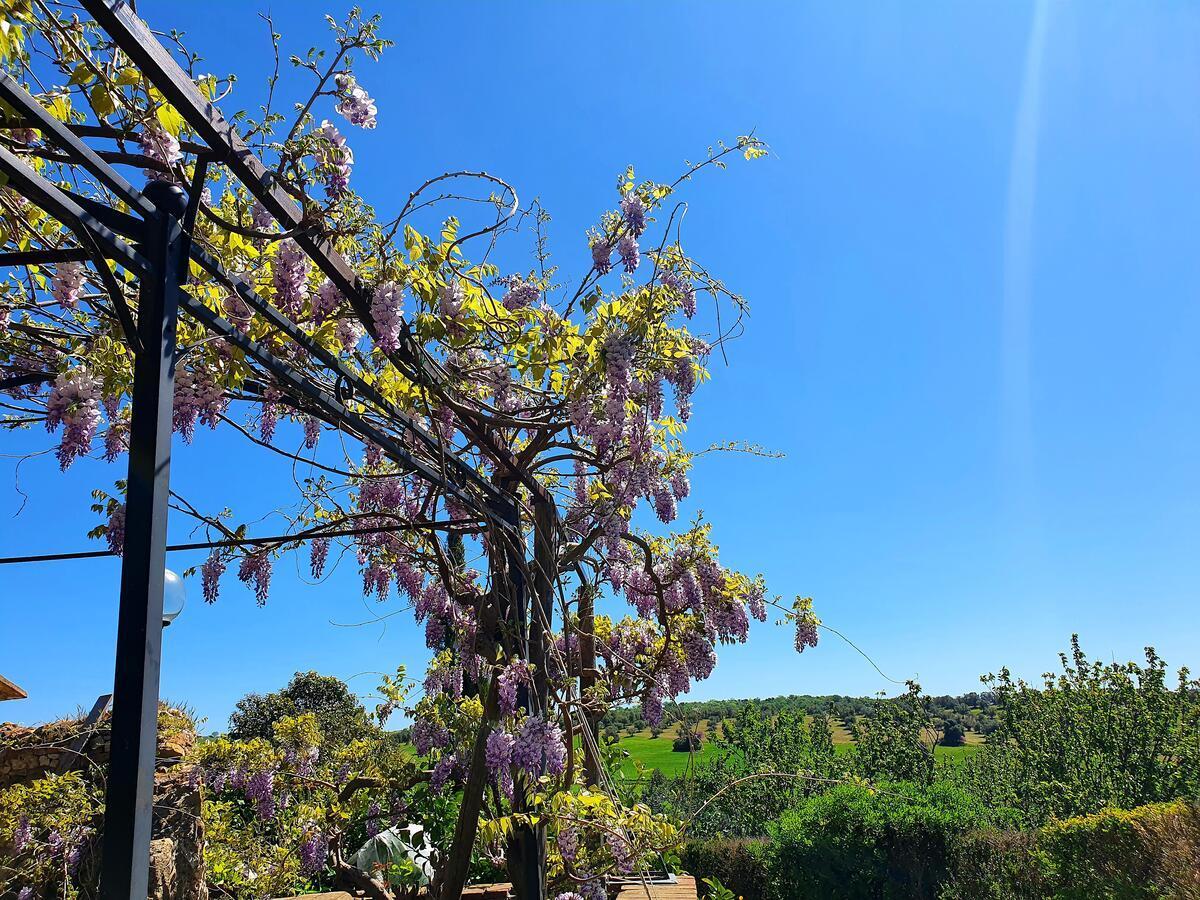 Residenza Santa Maria In Borraccia Bed & Breakfast Magliano in Toscana Bagian luar foto