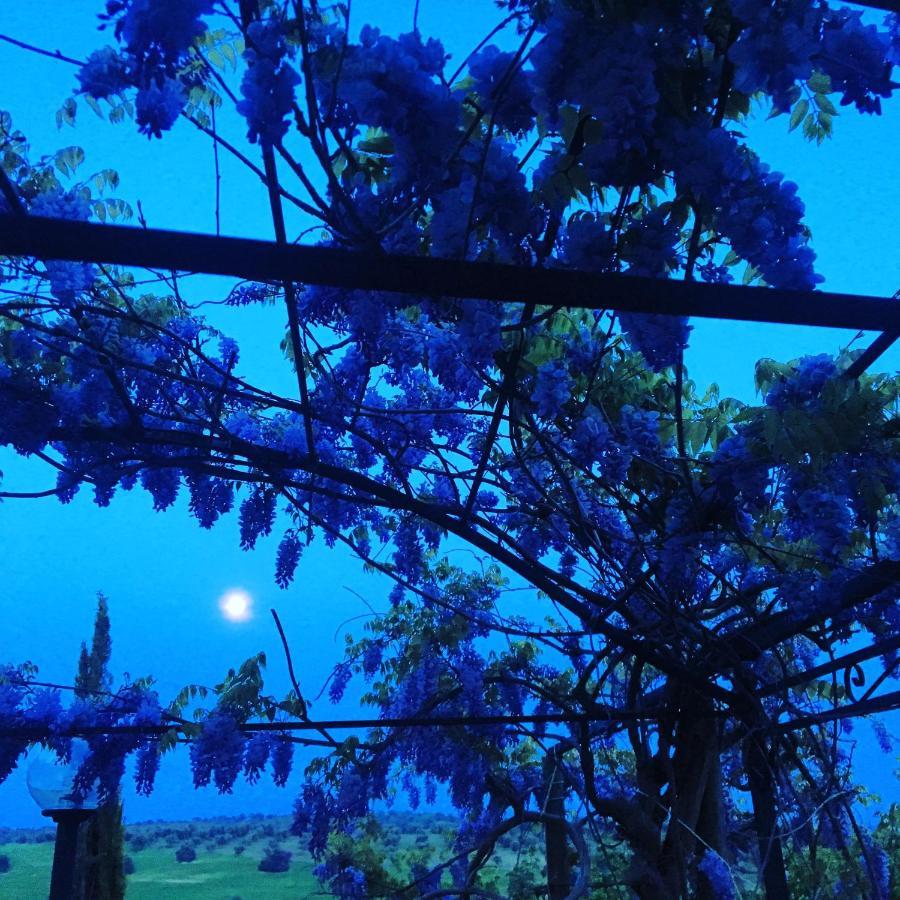 Residenza Santa Maria In Borraccia Bed & Breakfast Magliano in Toscana Bagian luar foto