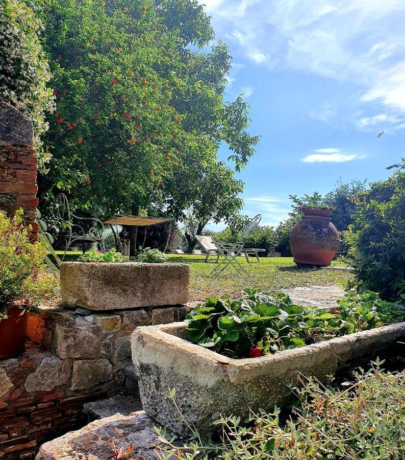 Residenza Santa Maria In Borraccia Bed & Breakfast Magliano in Toscana Bagian luar foto